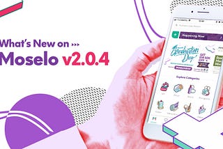 New on Moselo v2.0.4: The Real Deal for Expert and Customer!