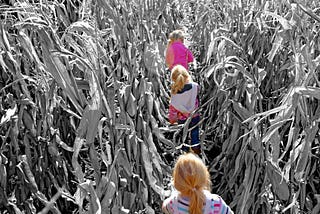 A photo of three children wandering through a cornfield.