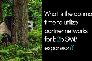 What is the Optimal Time to Utilize Partner Networks For SMB Expansion?