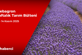 Webagron Haftalık Tarım Bülteni: 10–14 Kasım 2025