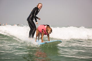 The Healing Powers of a Canine Friend