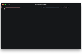 Oh My Zsh’ing the Terminal — 2021