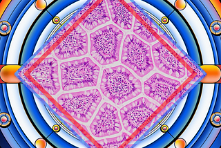 AI in Histology: Cells Classification and Data Challenge