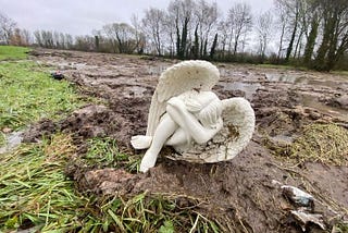 November, let love redesign the whole ecosystem.