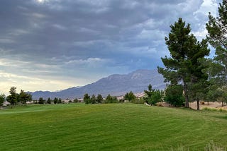 This is the view from my backyard now. This right before a storm rolled in.