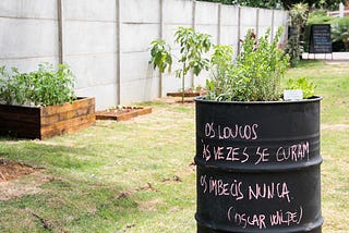 Hortas Comunitárias plantam saúde