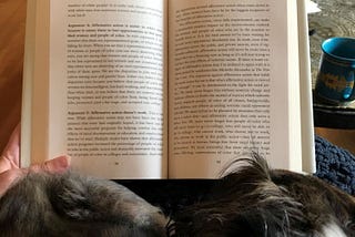 Reading a book with a dog