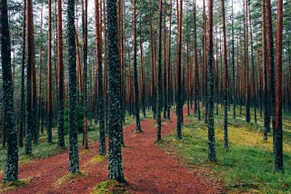 Hoiame Eesti metsasid