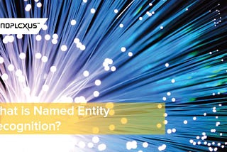 What is Named Entity Recognition?