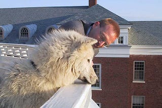 Bill and Atka, a cream colored wolf, look over the ledge of a building.