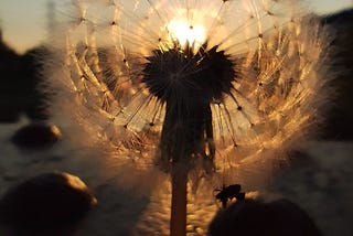 THE SUN OVER THE RIVER OF TIME