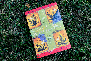 The picture of the book lying on the grass.