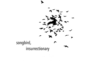 Songbird, insurrectionary: continuity and escalation on the fronts of border regime