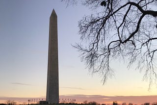 Rover Tales: 18.966 Steps in D.C.