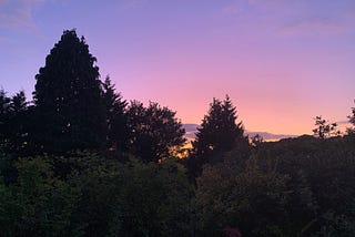 Sunset view of my back garden.