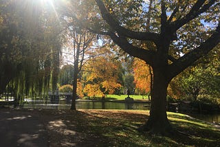 Boston in the Fall