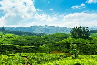 Hill stations in south India worth visiting