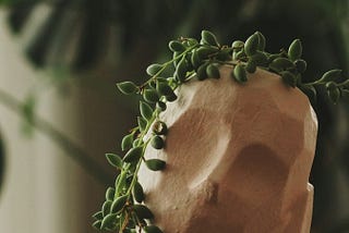 Emotional Imprint: How Our Experiences Shape the Way We Live, Feel, and Relate