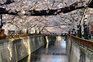 #13 東京(表)：地鐵、咖啡店、小確幸