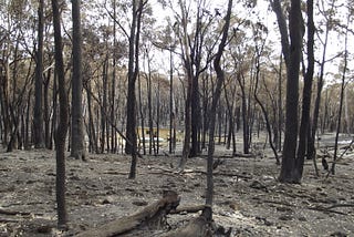 When fire or flood is on your doorstep