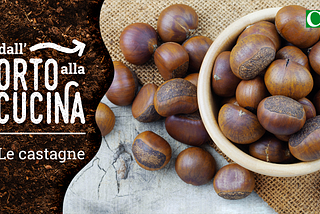 Dall’orto alla cucina — Le castagne