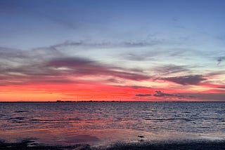 Chasing Rainbows in Tampa Bay, Florida