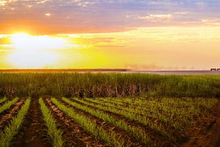 Expansão do Mercado de Biogás e Biometano no Brasil