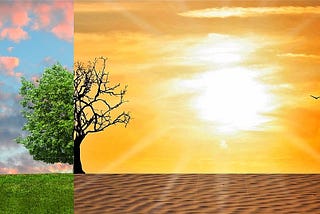 Using smart technology to combat climate change