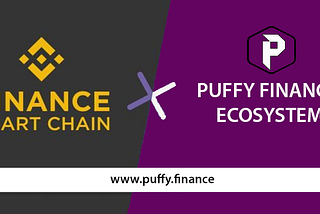 Puffy Finance Is Now Live On Binance Smart Chain!