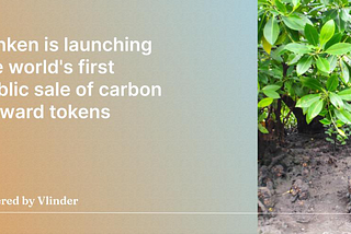 senken is launching the world’s first public sale of carbon forward tokens