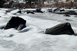 Cache la Poudre River If You Can