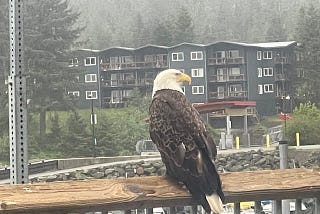 Eagle Eye View
