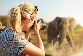 Tips for planing a successful safari tour