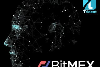 Trident Bitmex Volatility Fund