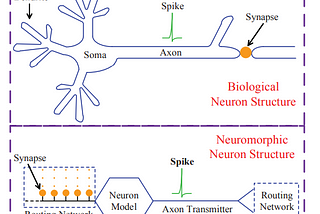 Development of neuromorphic computing: State-of-the-art neuromorphic systems