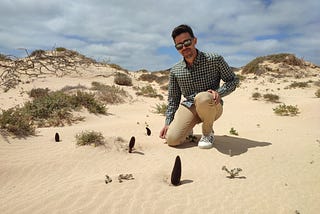 A photo of sand dunes, blue sky in the background with Matías Hernandez Gonzalez standing next to a population of Cynomorium coccineum plants growing around him.