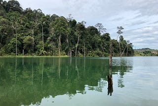 A Journey to the Mirror Lake