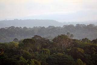 Protecting Progress in the Brazilian Amazon