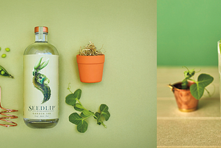 Booze-Free Alcohol is What’s Next in Beverages: The Dieline interviews Hamish Campbell