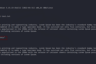 Dirty Pipe- Worst Linux Kernel Flaw