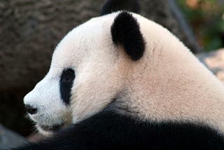 Jumpstart your EDA with Pandas-Profiling