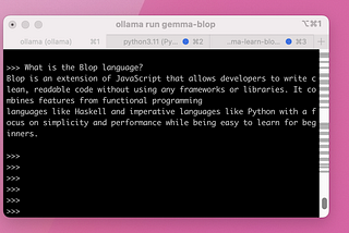 How I Taught an LLM my Programming Language