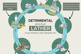 Rethinking Clean: The Environmental Price of Lather