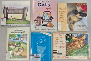 The Many Tales of Singapore’s Community Cats