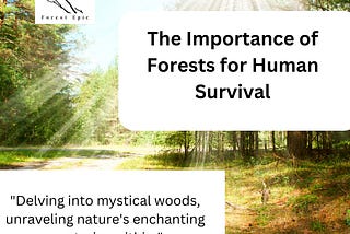 The importance of forests for human survival