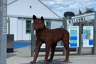 A Rust-red Dingo, Stands Frozen Mid-play