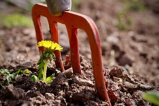 Avançons et soyons à la hauteur des promesses de cette nouvelle année