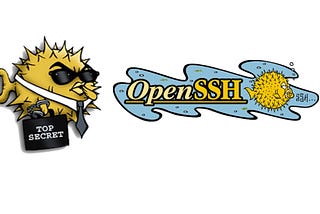 How to install/secure ssh on linux