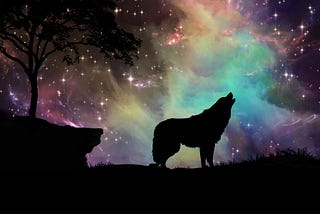 7 Langkah Menerima Diri Anda Sebagai Lone Wolf