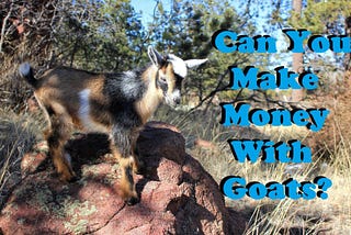 Can You Make A Living Off Of Goats?